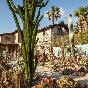 Garden Cactus Séjour à la campagne